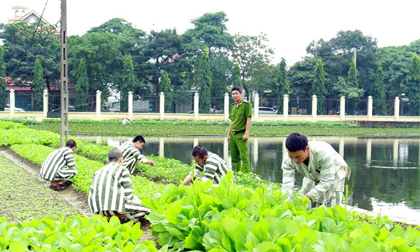 Bắt được 3 phạm nhân trốn trại tại khu vực biên giới