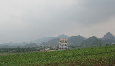 toanha-xahoi.com.vn-1471857629