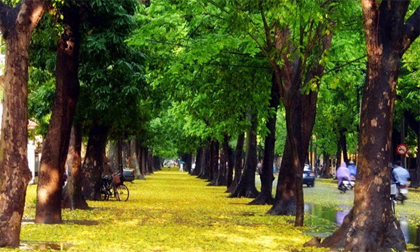 5 địa điểm Châu Á biến thành thiên đường khi vào thu