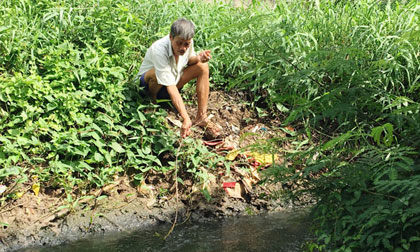Cà Mau Ngạt thở bên khu công nghiệp ô nhiễm
