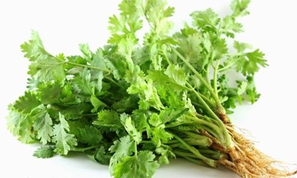 6 thực phẩm giúp cơ thể giải độc kim loại nặng