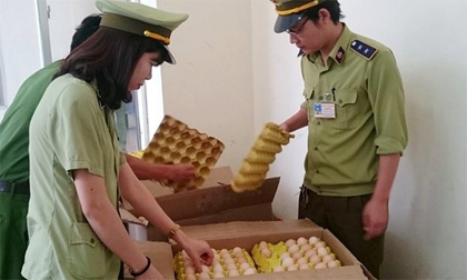 Hủy gần 5.000 quả trứng gà nhập lậu từ Trung Quốc