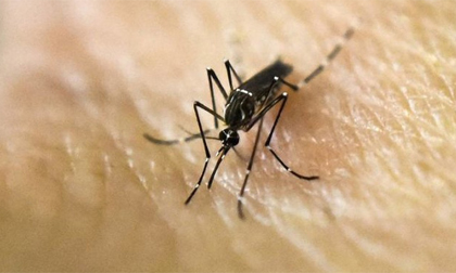 Malaysia xác nhận ca nhiễm Zika đầu tiên