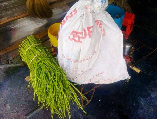Hang tan rau muong ngam hoa chat nhuom len ban an nguoi Sai Gon moi ngay