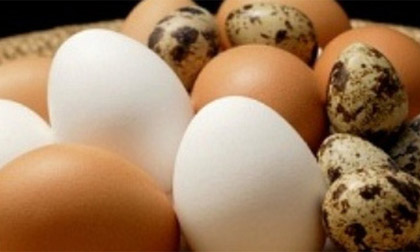 8 nguyên tắc kiêng kỵ khi ăn trứng bạn đừng 'dại' quên