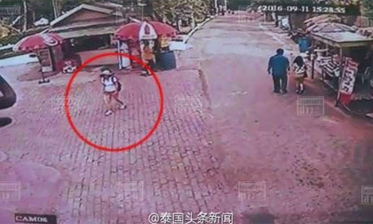 Tự ý tách đoàn, nữ du khách Trung Quốc mất tích trong trại hổ lớn nhất thế giới ở Thái Lan