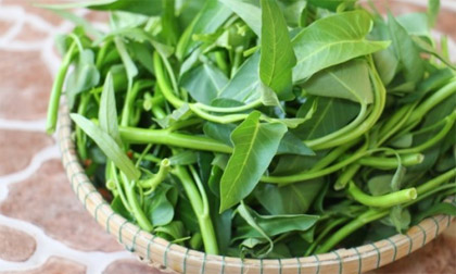 Mẹo hay để nhận biết rau muống nhiễm chì chỉ bằng mắt thường