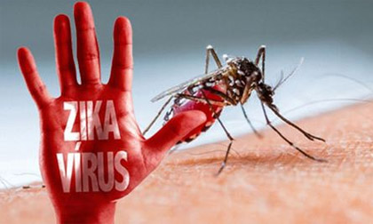 TP.HCM: Tăng cường kiểm soát vi rút Zika khi một người Đức bị nhiễm
