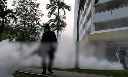 Singapore xác nhận 16 phụ nữ mang thai bị nhiễm virus Zika