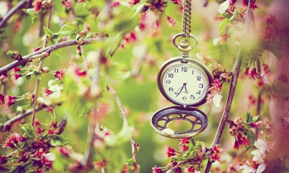 Tử vi tháng 10 của các cung hoàng đạo