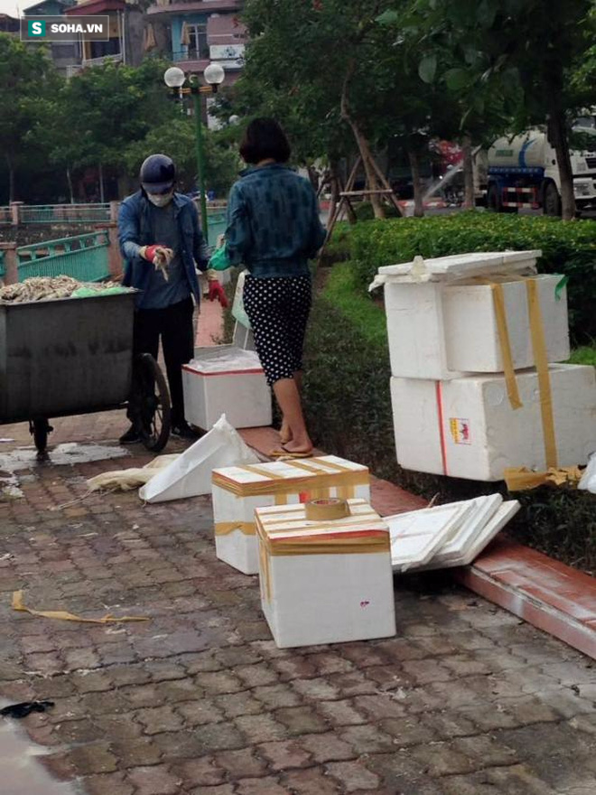 Nghi vấn đôi nam nữ đưa cá chết Hồ Tây vào thùng xốp để tiêu thụ - Ảnh 1.