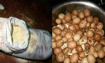 Cha mẹ bức xúc tố nhà trường cho trẻ ăn cám lợn, trứng thối, cà chua hỏng