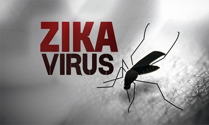 7 ca nhiễm zika, TP.HCM công bố dịch