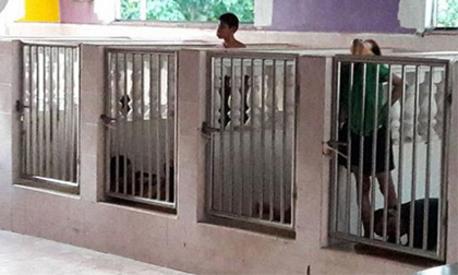 Phẫn nộ cảnh trẻ em khuyết tật bị nhốt trong chuồng như vật nuôi