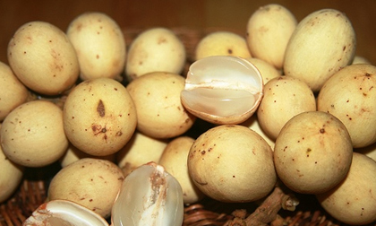 Sai lầm nghiêm trọng khi ăn quả bòn bon cần bỏ ngay