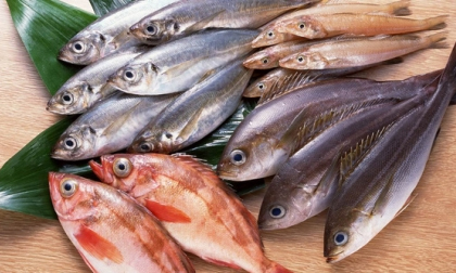 4 nên khi ăn cá để không hại sức khỏe, bà nội trợ Việt phải biết
