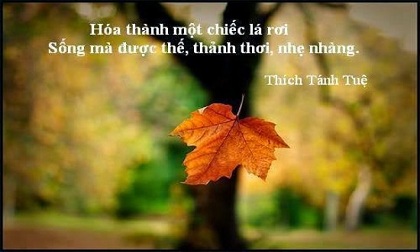 Phật dạy: Đời người còn sống là thắng lợi, khỏe mạnh là giàu có, bình thản là an vui