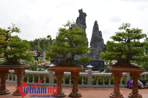 Hoài Linh,  Xuân Hinh, nhà thờ Tổ của Hoài Linh, nhà quê của Xuân Hinh