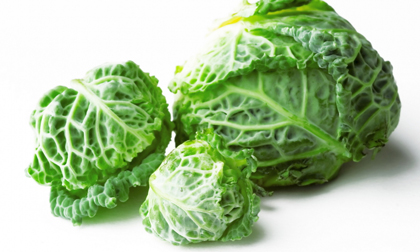 Điểm danh 7 thực phẩm giàu vitamin K cho trẻ nhỏ