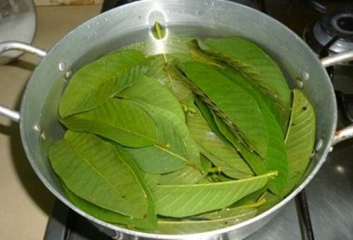Kinh nghiem tri gau, rung toc mua dong chi 2 tuan bang la oi