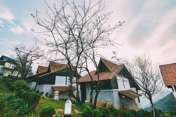 sapa