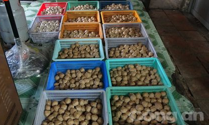 Bắt quả tang cơ sở sử dụng thịt thối chế biến bò viên