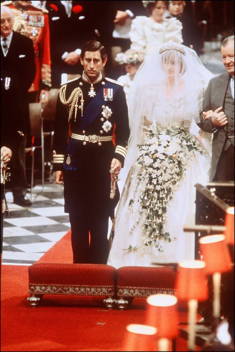 diana 6