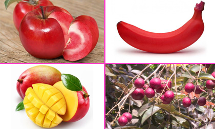 Những loại trái cây độc lạ mới xuất hiện ở Việt Nam