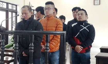 Luật sư bị cảm lạnh, hoãn phiên tòa xử Minh “sâm”