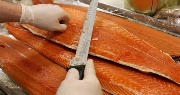 cá hồi nuôi 0
