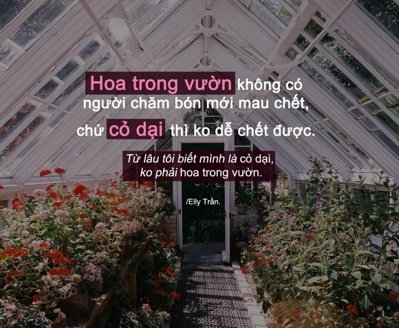Câu nói tâm can của Elly Trần  4