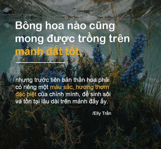 Câu nói tâm can của Elly Trần  5