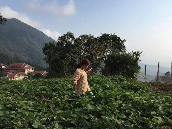 Hoàng Thùy Linh 1