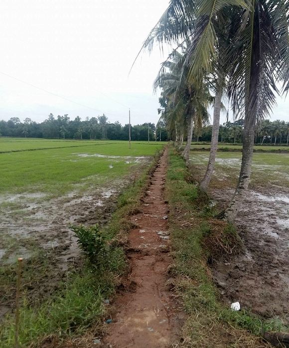 nhà các hiện tượng mạng  5
