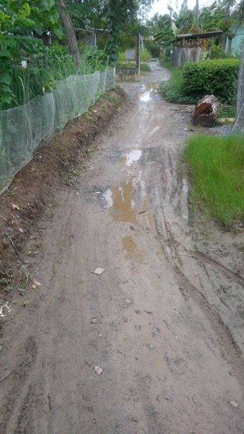 nhà các hiện tượng mạng  0