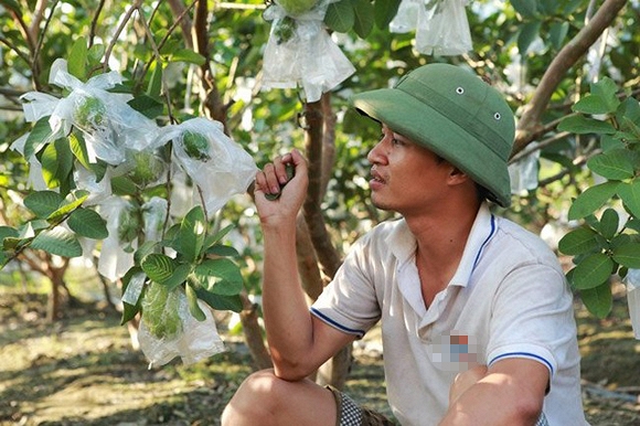 nhà các hiện tượng mạng  0