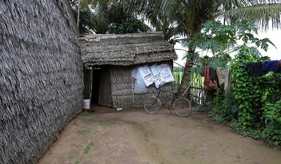 nhà các hiện tượng mạng  1