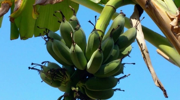 Nhà Quang Lê ở Mỹ 5 Nhà Quang Lê ở Mỹ 5