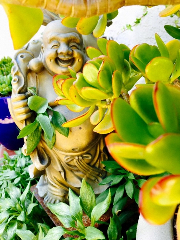 Nhà Thúy Nga ở Mỹ  0
