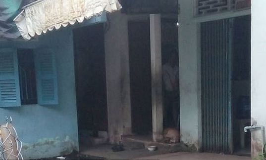 gia cảnh các hiện tượng mạng a2