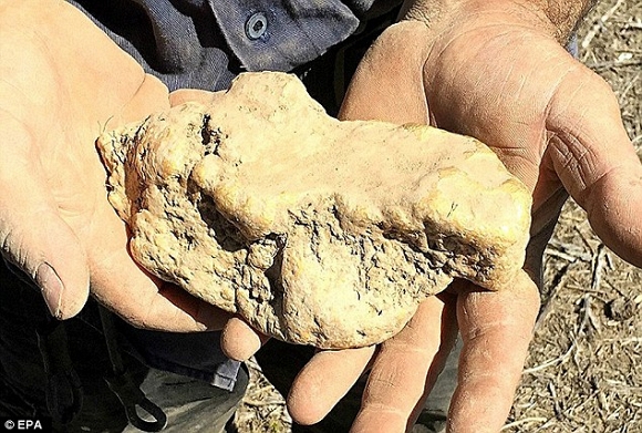 Người đàn ông nhặt được cục vàng 4,1kg trị giá 5,5 tỷ đồng 1