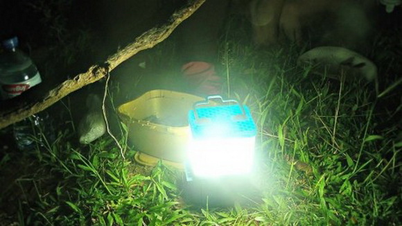 Đèn chạy bằng nước muối 1