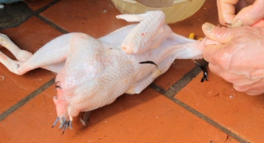 Cách làm món gà nướng mía 2 Cách làm món gà nướng mía 2