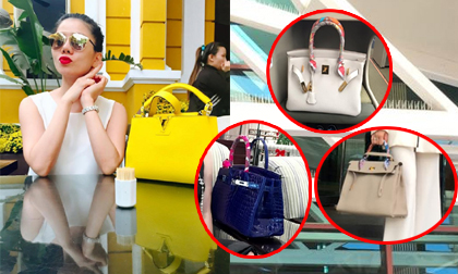 Bộ sưu tập túi hiệu giá 'bạc tỉ' của nữ ca sĩ Lệ Quyên