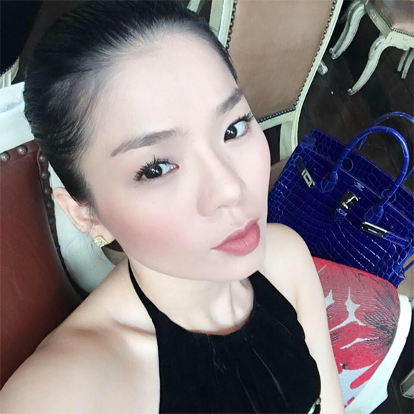túi hàng hiệu của Lệ Quyên 2