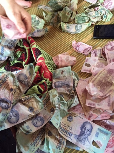Sấy tiền  0