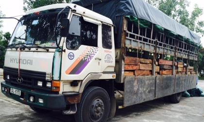 Thanh Hóa: CSGT bắt giữ 6,4 mét khối gỗ quý vận chuyển trái phép