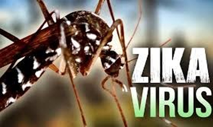 Phát hiện thêm tỉnh có bệnh nhân nhiễm Zika