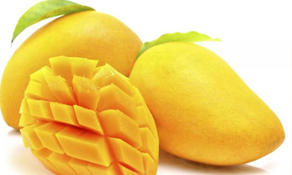 Bài thứ 5 Chữa bệnh viêm đại tràng từ lá xoài