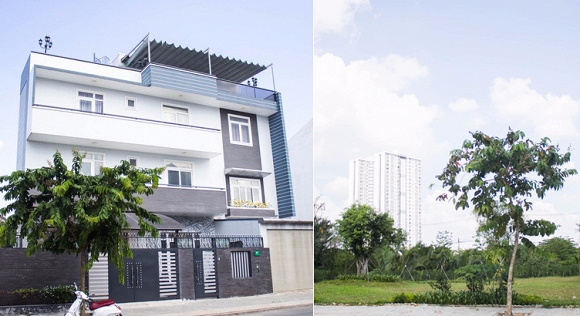 Nhà nghệ sĩ Kim Tử Long  2